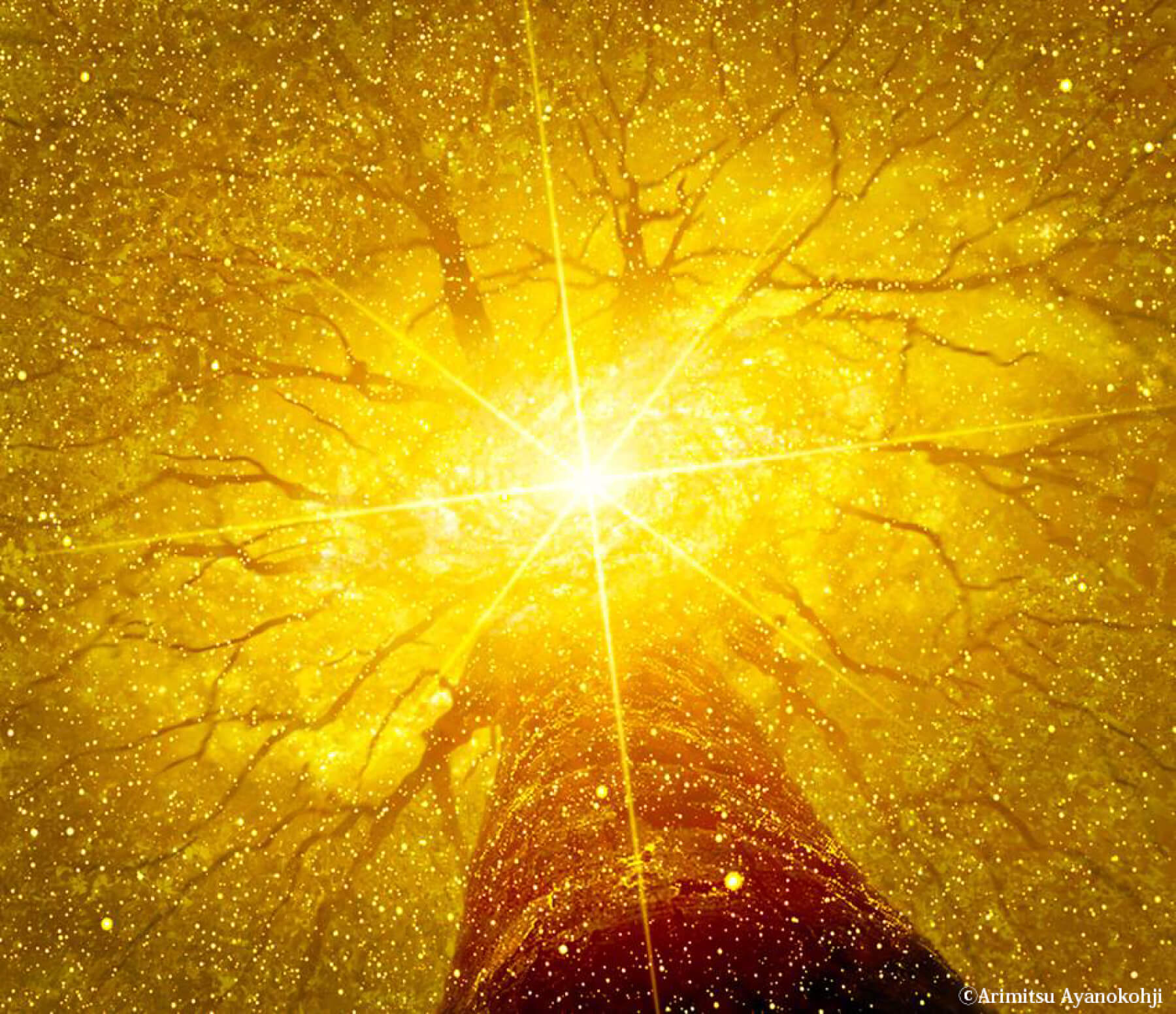 綾小路 有則 作：「生命の大樹」